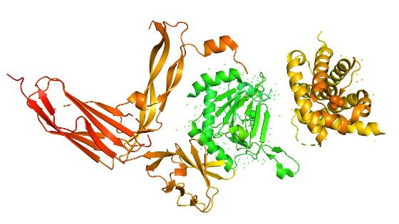Protein structure.jpg